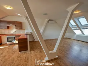 Pronájem bytu 3+kk, Hodonín, 115 m2