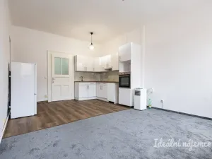 Pronájem bytu 2+kk, Praha - Nusle, Jaromírova, 58 m2