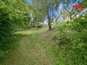 Prodej pozemku pro bydlení, Vidlatá Seč, 1032 m2