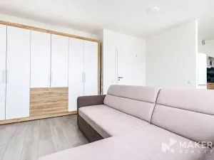 Prodej bytu 1+kk, Praha - Žižkov, Olgy Havlové, 38 m2