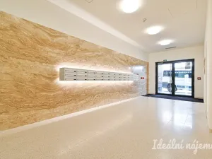 Pronájem bytu 2+kk, Brno - Zábrdovice, Příční, 36 m2