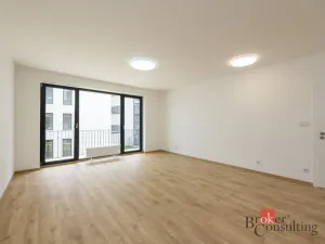 Pronájem bytu 2+kk, Plzeň - Jižní Předměstí, Železná, 60 m2