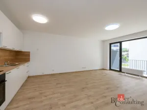 Pronájem bytu 2+kk, Plzeň - Jižní Předměstí, Železná, 60 m2