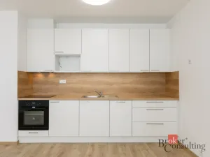 Pronájem bytu 2+kk, Plzeň - Jižní Předměstí, Železná, 60 m2