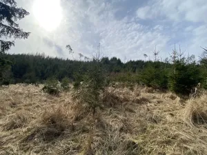 Prodej louky, Městečko Trnávka - Lázy, 1026 m2