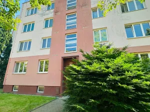 Pronájem bytu 2+1, Plzeň, Brojova, 55 m2