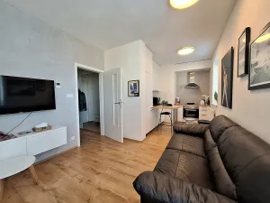 Pronájem bytu 1+kk, Brno, Přírodní, 35 m2