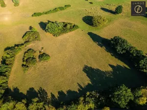 Prodej pozemku pro bydlení, Mirotice - Bořice, 10784 m2