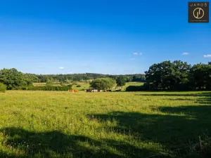 Prodej pozemku pro bydlení, Mirotice - Bořice, 10784 m2