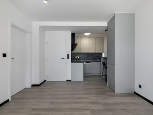Prodej bytu 2+kk, Havířov - Podlesí, Okrajová, 39 m2
