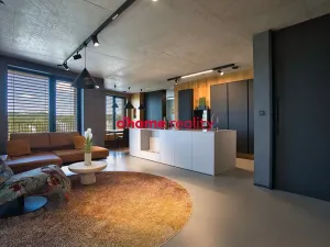 Prodej bytu 3+kk, Ostrava, F. X. Riepla, 137 m2
