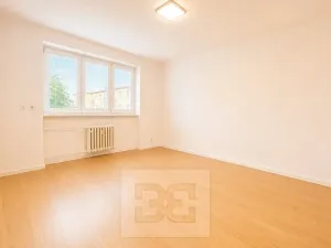 Pronájem bytu 2+1, Zlín, Benešovo nábřeží, 55 m2
