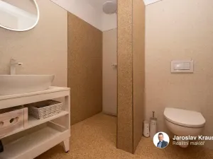 Prodej rodinného domu, Roprachtice, 373 m2