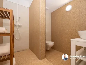 Prodej rodinného domu, Roprachtice, 373 m2
