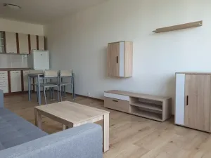 Pronájem bytu 2+kk, Brno, Svážná, 47 m2