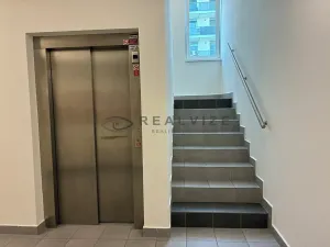 Pronájem bytu 2+kk, České Budějovice, Františka Jelena, 58 m2