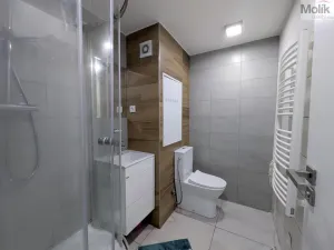 Prodej bytu 1+1, Teplické Předměstí, Sídliště Za Chlumem, 35 m2