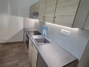 Pronájem bytu 2+1, Plzeň, Raisova, 56 m2