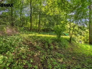 Prodej chalupy, Dolní Dobrouč - Horní Dobrouč, 151 m2