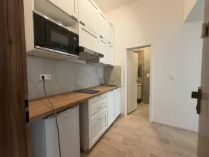 Pronájem bytu 1+kk, Praha - Nové Město, Kateřinská, 30 m2