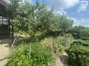 Prodej chaty, Příbram, Hatě, 17 m2