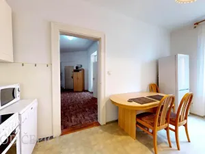 Pronájem atypického bytu, Brno - Královo Pole, Palackého třída, 23 m2