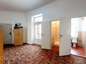 Pronájem atypického bytu, Brno - Královo Pole, Palackého třída, 23 m2