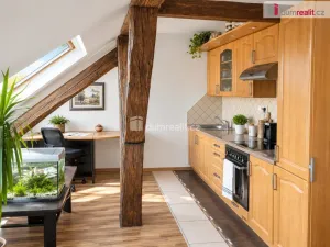 Pronájem bytu 2+kk, Český Krumlov - Plešivec, Dělnická, 56 m2