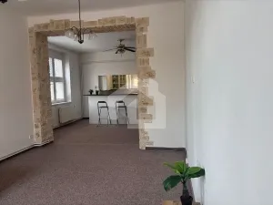 Pronájem bytu 2+1, České Budějovice - České Budějovice 3, Fr. Hrubína, 81 m2