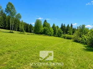 Prodej louky, Josefův Důl, 6990 m2