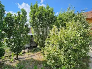 Prodej rodinného domu, Němčice nad Hanou, Čsl. armády, 240 m2