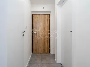 Prodej bytu 1+1, Praha - Hloubětín, Šestajovická, 30 m2