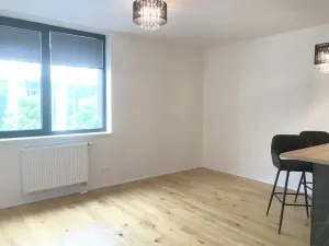 Pronájem bytu 2+kk, Praha - Smíchov, Holečkova, 56 m2