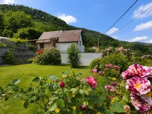 Prodej rodinného domu, Ústí nad Labem, Myslivečkova, 114 m2