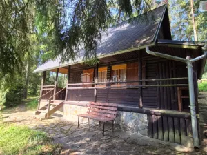 Prodej chaty, Kraslice - Mlýnská, 44 m2
