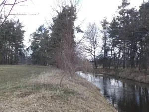 Prodej pozemku, Lužnice, 552 m2