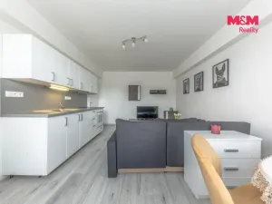 Prodej bytu 2+kk, Mladá Boleslav - Mladá Boleslav II, Jana Palacha, 42 m2