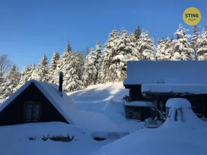 Prodej historického objektu, Hutisko-Solanec - Solanec pod Soláněm, 2989 m2