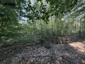 Prodej pozemku pro bydlení, Klopina, 439 m2