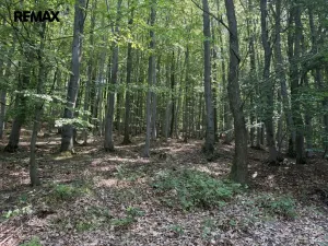 Prodej pozemku pro bydlení, Klopina, 439 m2