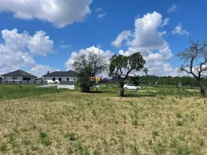 Prodej pozemku pro bydlení, Dobrovice, Na Spravedlnosti, 1090 m2