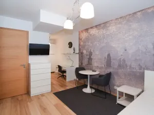 Pronájem bytu 1+kk, Praha - Žižkov, Štítného, 34 m2