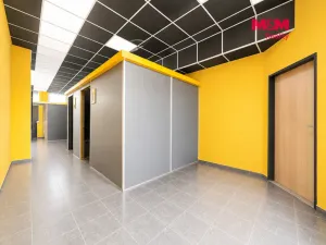 Pronájem obchodního prostoru, Orlová - Lutyně, Masarykova třída, 222 m2
