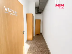 Pronájem obchodního prostoru, Orlová - Lutyně, Masarykova třída, 222 m2