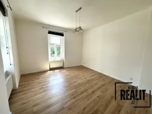 Pronájem bytu 1+kk, Praha - Žižkov, Seifertova, 34 m2
