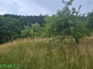 Prodej rodinného domu, Šošůvka, 130 m2