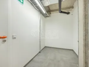 Prodej bytu 3+kk, Praha - Žižkov, Budovcova, 96 m2