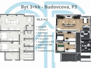 Prodej bytu 3+kk, Praha - Žižkov, Budovcova, 96 m2