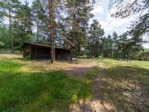 Prodej lesa, Slabčice, 6225 m2