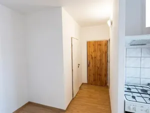 Prodej bytu 2+1, Chomutov, Palackého, 65 m2